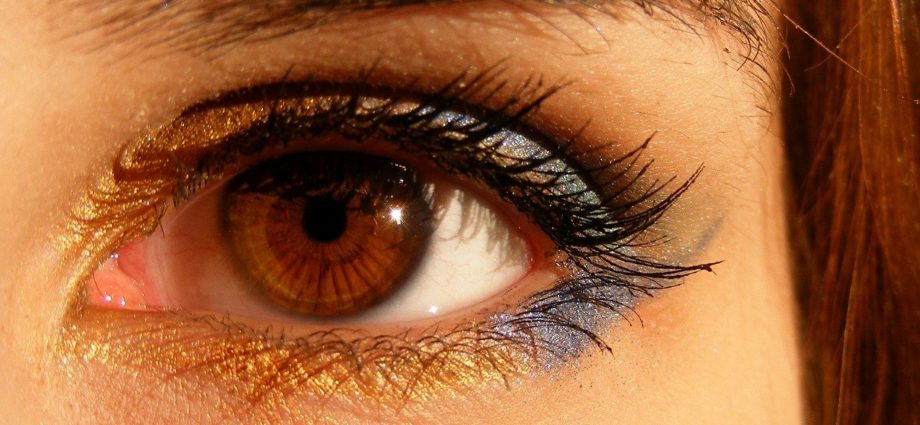 Quelle couleur de fard à paupières pour les yeux marrons